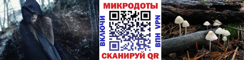 купить наркоту  Покровск  Псилоцибиновые грибы прущие грибы 